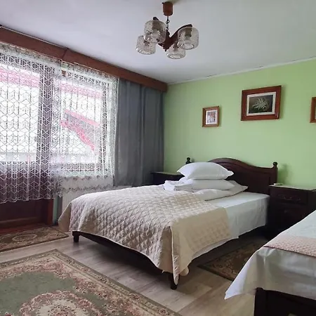 Pensiunea Orhideea 3* Gura Humorului