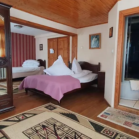 Pensiunea Orhideea 3*
