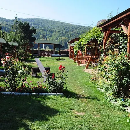 Pensiunea Orhideea 3*
