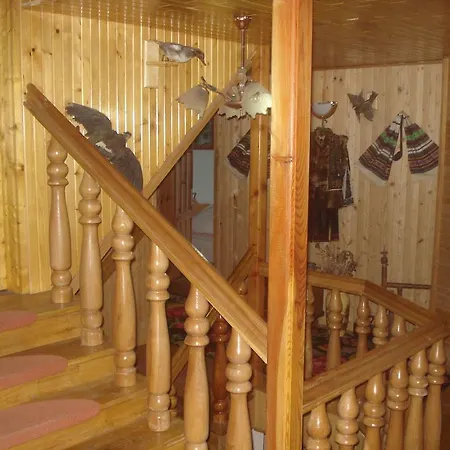 Gasthuis Pensiunea Orhideea 3*